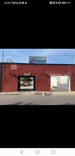 Placita BAYAJI - Thumbnail