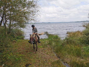Photo n°33 de Domaine de Shiva à Brasparts (Ferme d'élevage)