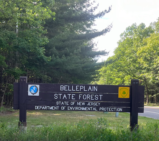 Belleplain State Forest - United States
