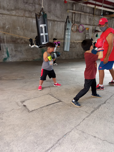 Escuela de Box Ali Huesca - Thumbnail