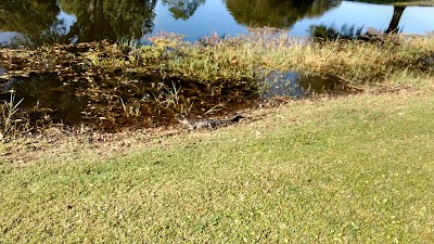 Photos of River Greens Golf Course