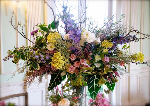 Plan Decor - Visual