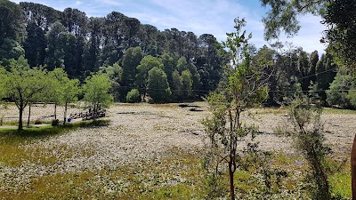Photos of Parque Saval