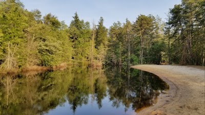 Batsto River Beach