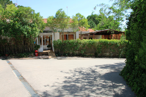 Camping Pantapino - Thumbnail