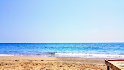 Photos of Altinkum Resorts
