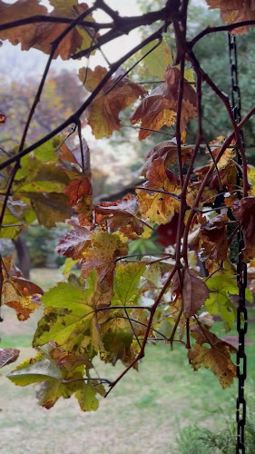 Opinii despre Equilibrio Masaje Spa în Las Condes - Spa