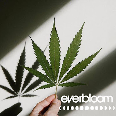 Photo of EverBloom