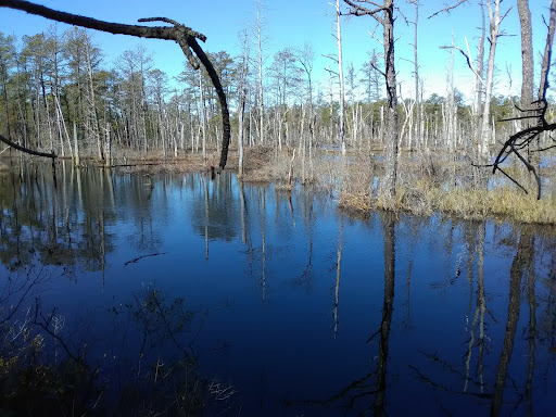 Crossley Nature Trail - Thumbnail