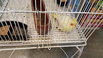 Photos of Full Pets