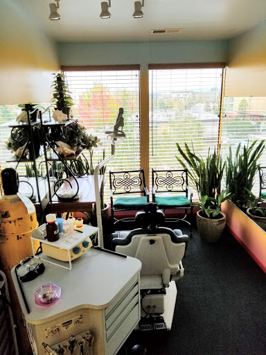 Natural Dentist Gallery - United States