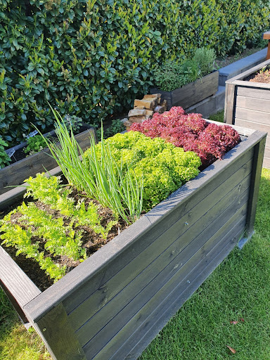 Garten- und Hausmeisterservice Dahlke - Thumbnail