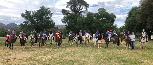 Mansfield Pony Club - Thumbnail
