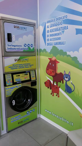 Crazy wash lavanderia self service - Thumbnail