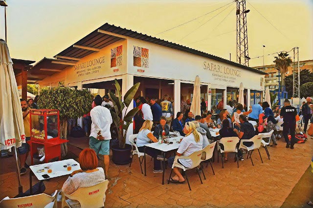 Safari Lounge Family