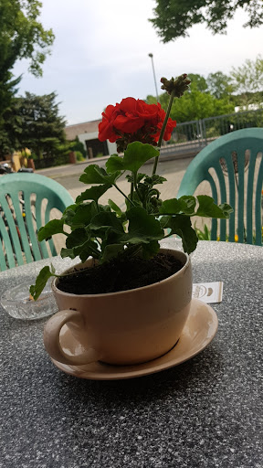 Café Briese - Thumbnail