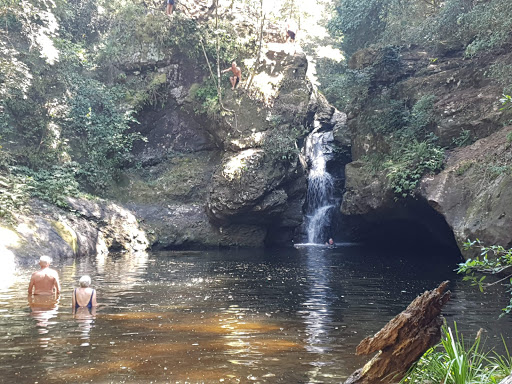Tapin Tops National Park