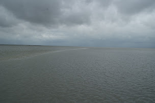 Photo n°4 de Patrice TRÈCHE - Guide baie Mont Saint-Michel à Genêts (Promenade)