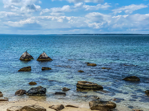 Cedar Tree Neck Sanctuary Parking - Thumbnail