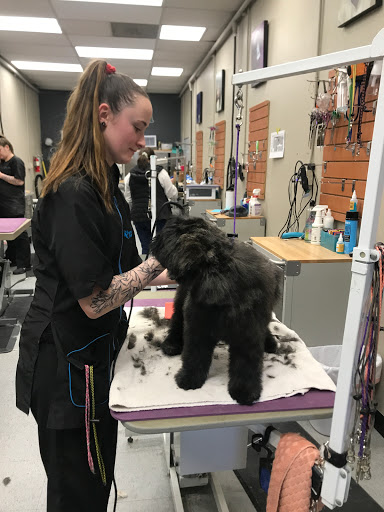 Dogs' Own Grooming - Thumbnail