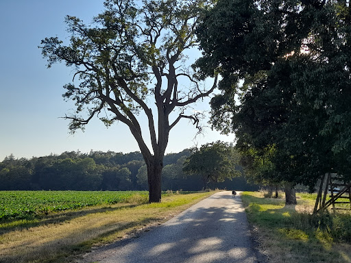 Camping Stellplatz - Germany