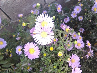 Photos of شهرکرد