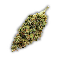 Photo n°17 de WEADERS CBD Revel | Magasin de CBD à Revel | H4CBD THCP HHCPO Revel à Revel (Boutique de cigarettes électroniques)