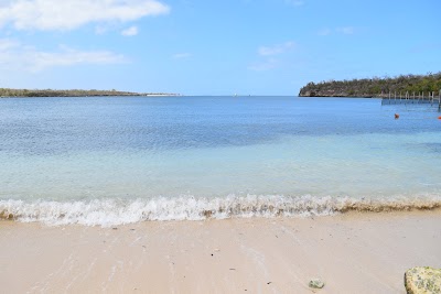 Photos of Playa La Guanas