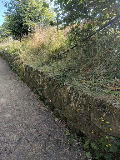 Riverbend Loop Trail - Visual