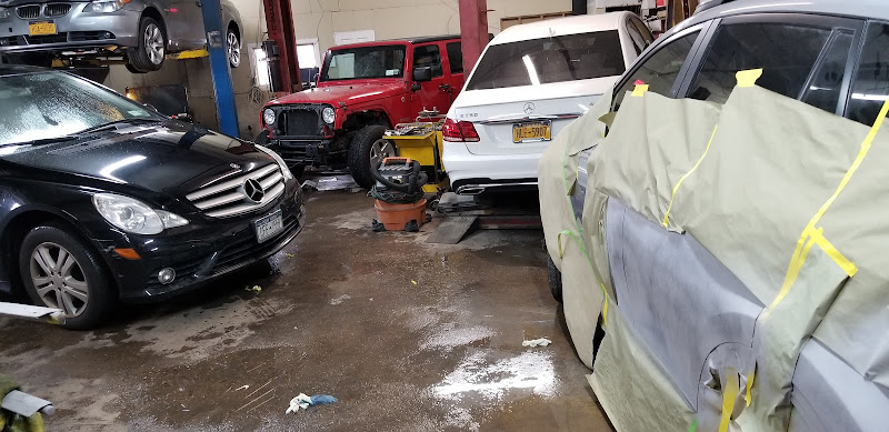 Cheetah Auto Collision