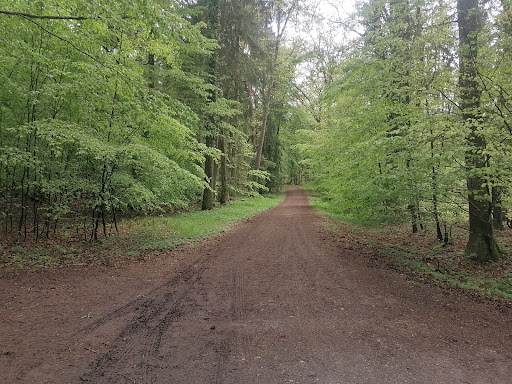 Chemin d'oderfang - Visual