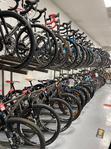 88 Cycling - Visual