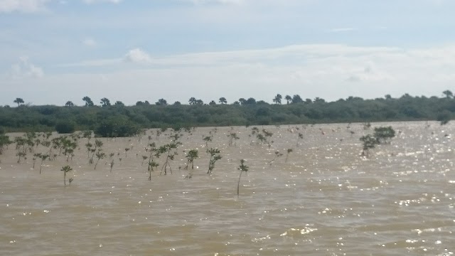 Laguna de Oviedo