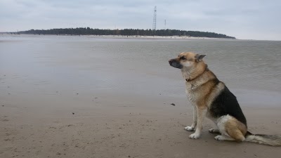 Photos of Slītere National Park