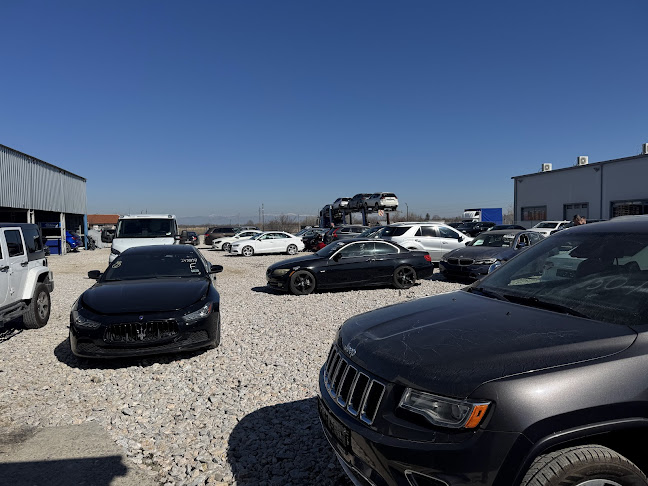 Opinii despre Bidmotors în Пловдив - Търговец на автомобили