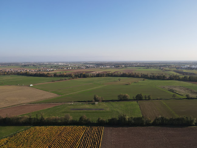 Innovimmo Strasbourg - Strasbourg