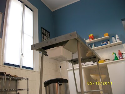 Photos of AMBULATORIO VETERINARIO Corsaletti Dr. Paolo