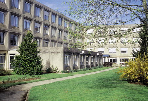 Chu Rennes - Usld Et Ssr La Tauvrais - Thumbnail