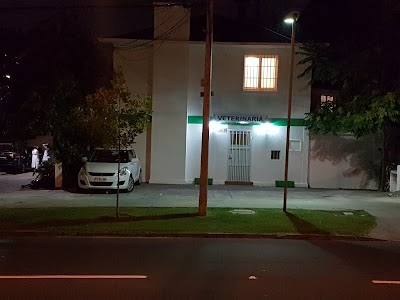 veterinary-care