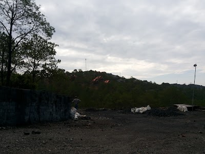 Photos of Pine Land Oasis Hotel