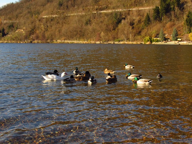 Lago di Lévico