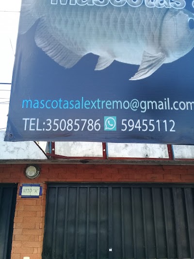 Photos of Mascotas Al Extremo