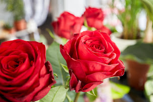 Photo n°16 de CHRISTINE FLEURS à Le Havre (Fleuriste)