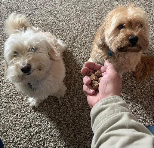 Maiden Montana Pet Treats - Thumbnail