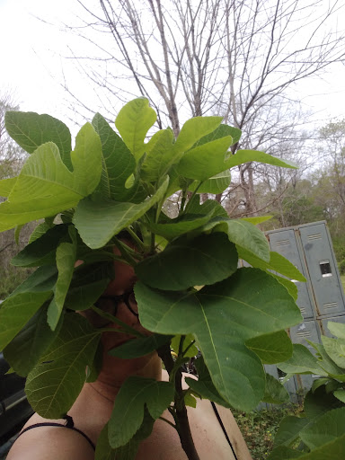 Richardson Ag & Outdoors, LLC - Thumbnail