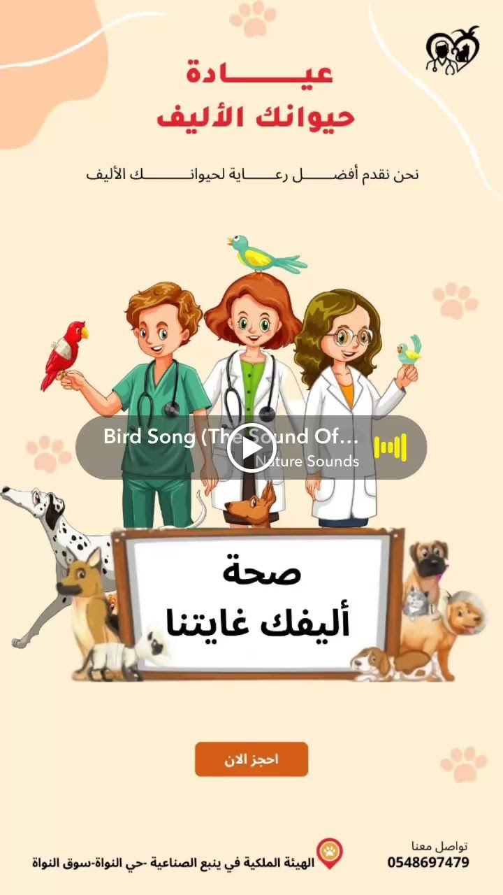 عيادة حيوانك الأليف العالمي البيطرية - صورة 2