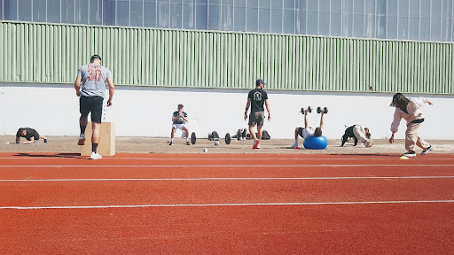OL' FITNESS coach sportif