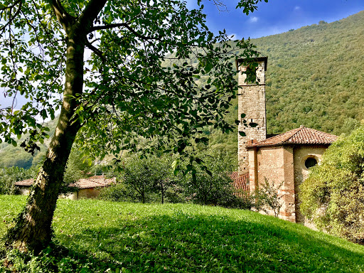 Nave mitria - Visual