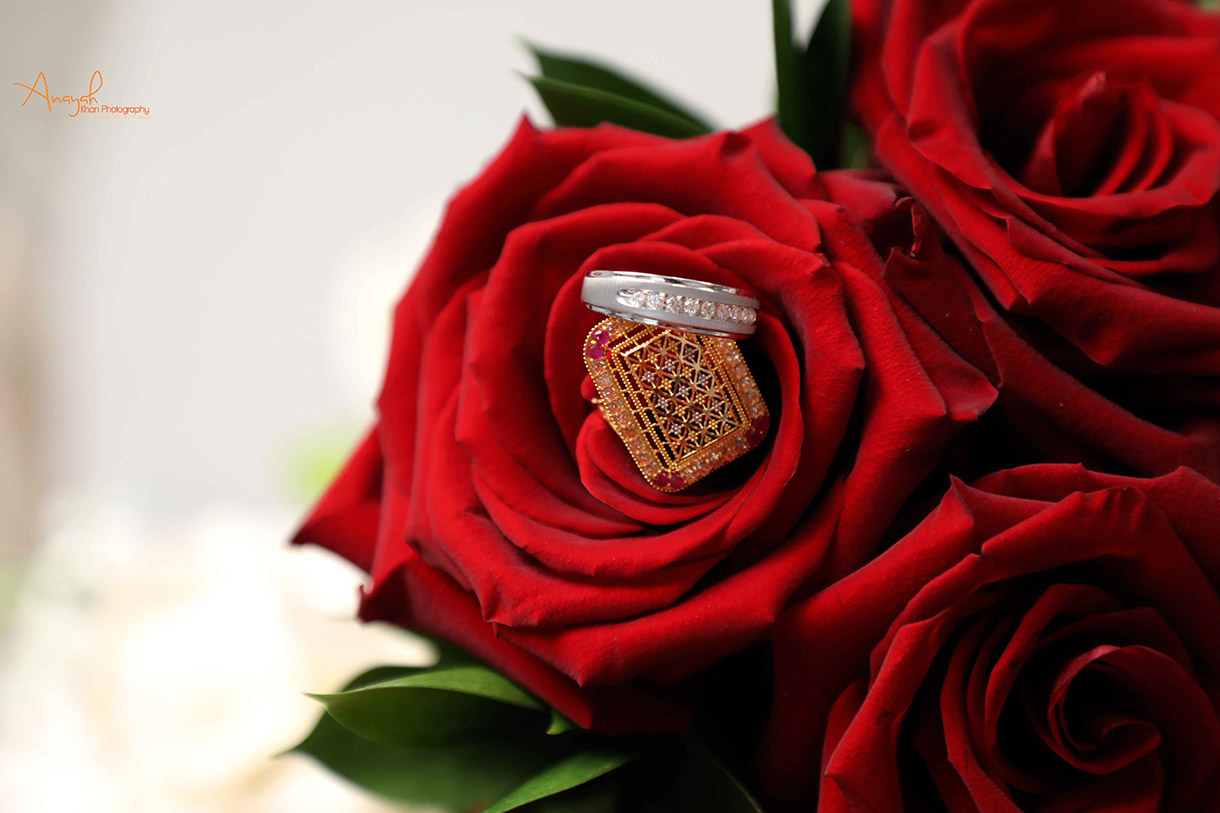 Anayah Khan Photography - Photography - photo 1