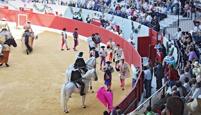 Photos of Plaza de Toros Cubierta Plurifuncional de Villena